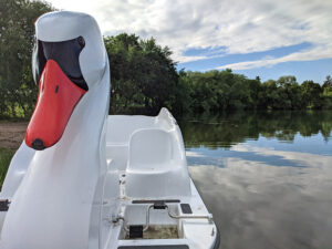 Swan Boat closeup